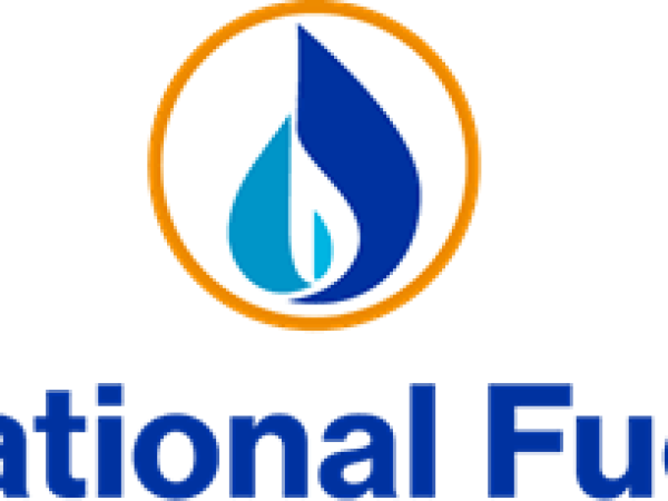 National Fuel President - Donna DeCarolis Addresses Climate Action Council
